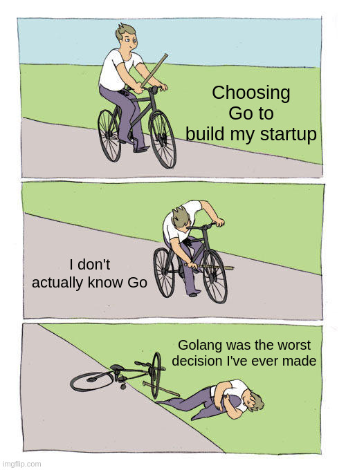 Choosing Go